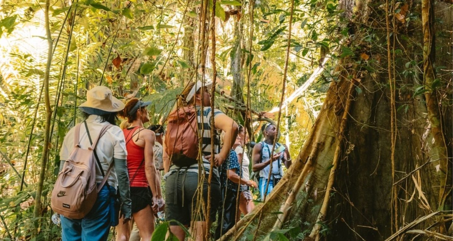 Hilltop Wellness Resort